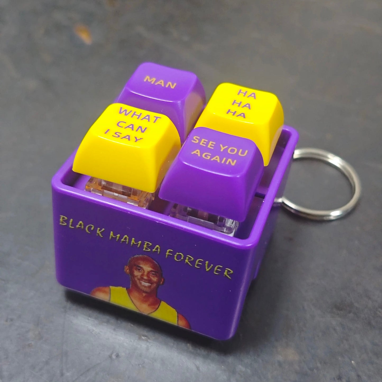 EGPWS Warning Sound Simulator Keychain - Realistic Cockpit Terrain Alert System | Battery-Operated Pilot Gift for Aviation Enthusiasts